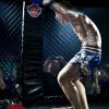 mmafightsphuket