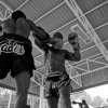 muaythaielbow