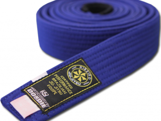 New 3 month white to blue belt BJJ training camp