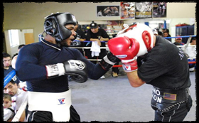 phuket-top-team-boxing